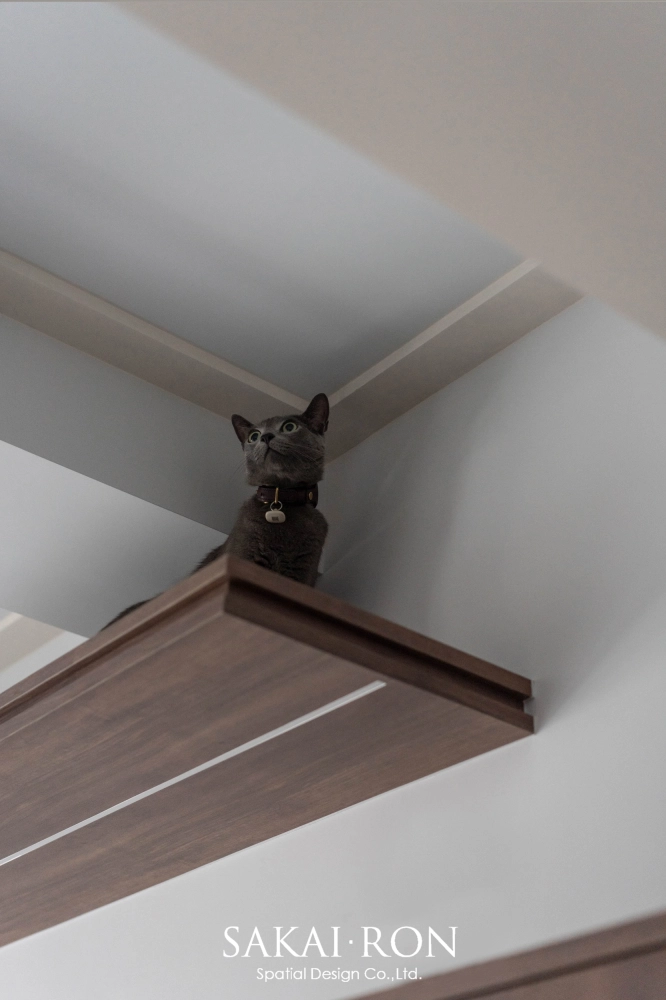 台南｜善化游宅｜大樓設計