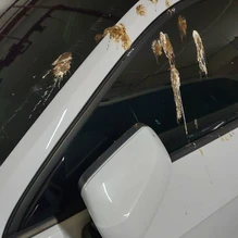 武士車漆保護膜的功能-車膜製造/車膜供應