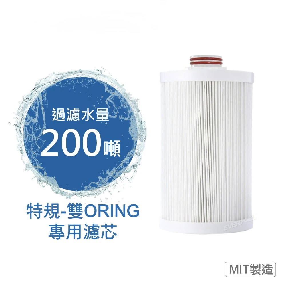 【EVERPOLL 愛科】全戶濾淨 特規-雙ORING專用濾芯