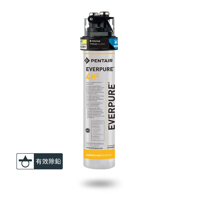 【EVERPURE 愛惠浦】PurVive-4H²淨水設備