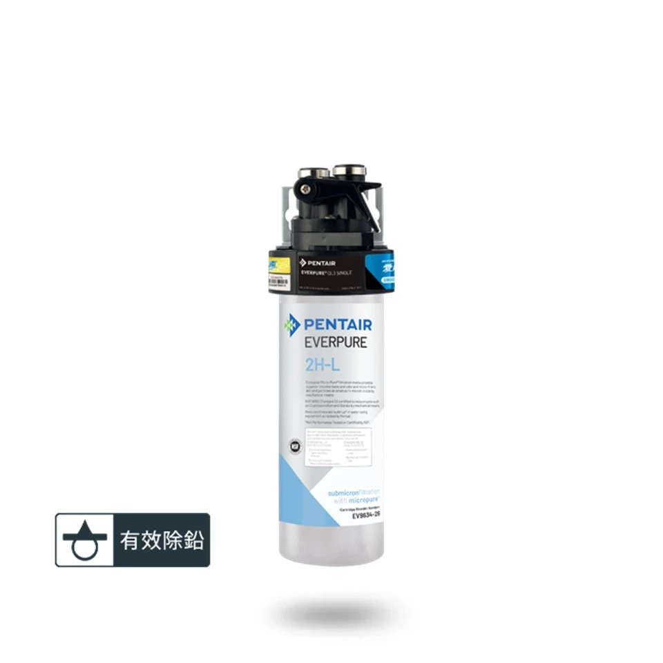 【EVERPURE 愛惠浦】PurVive®-2HL淨水設備