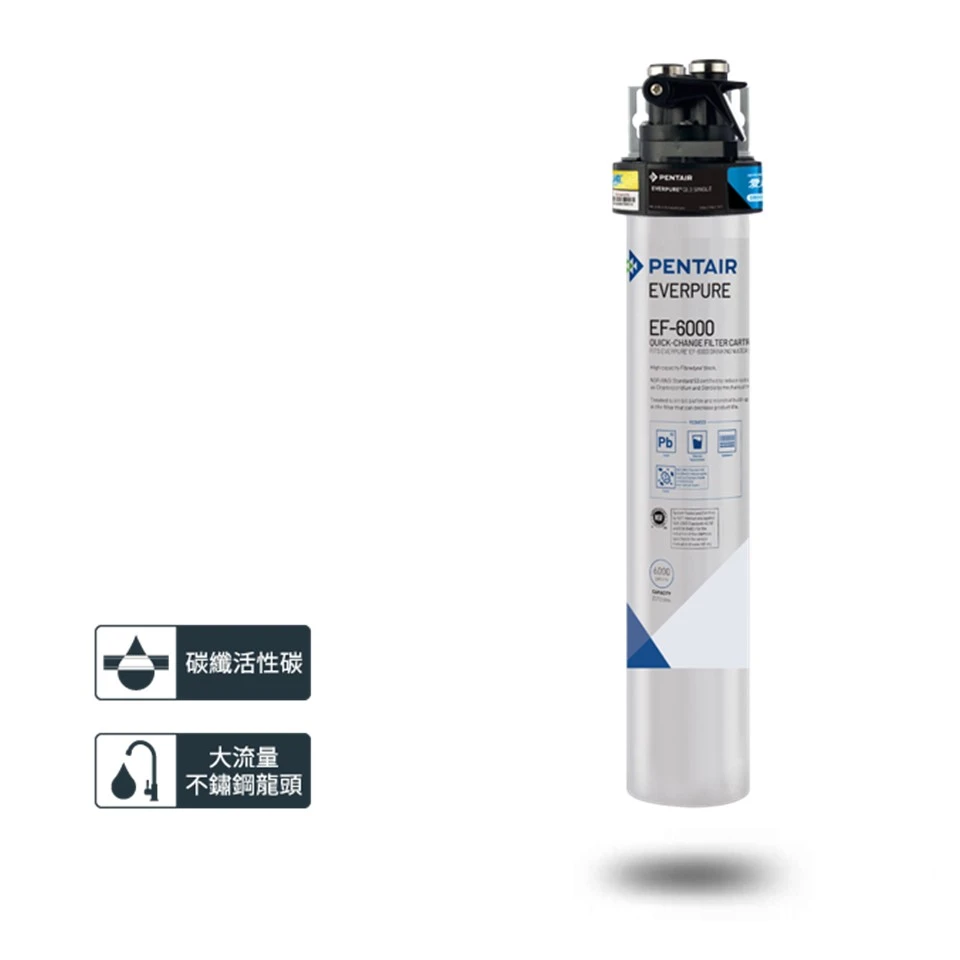【EVERPURE 愛惠浦】PurVive-EF6000淨水設備
