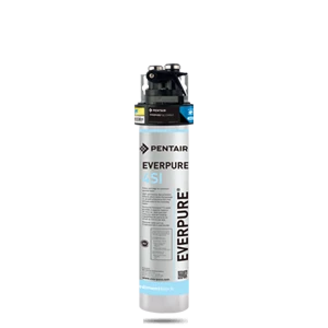 【EVERPURE 愛惠浦】製冰機專用 PurVive® Pro-4SI