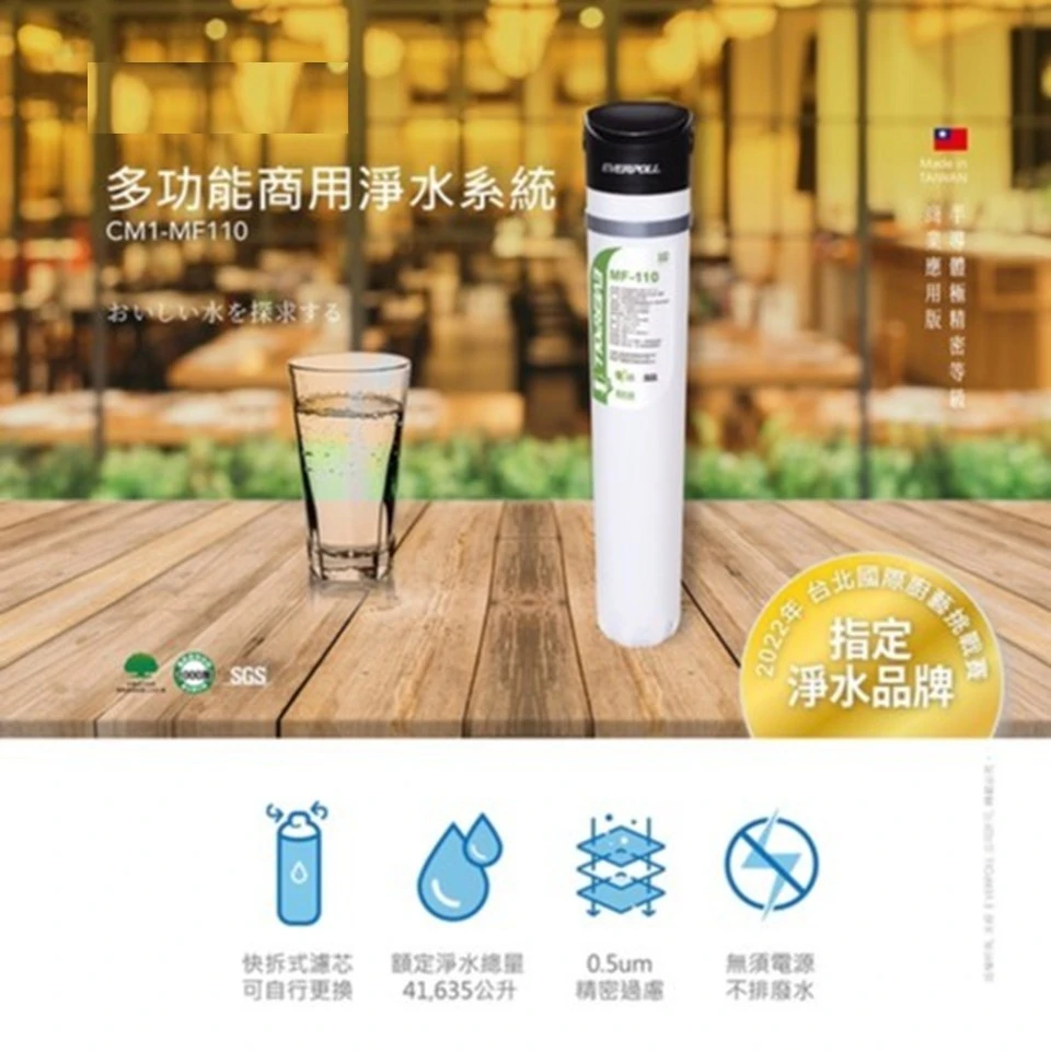 【EVERPOLL 愛科】單道商用淨水系統