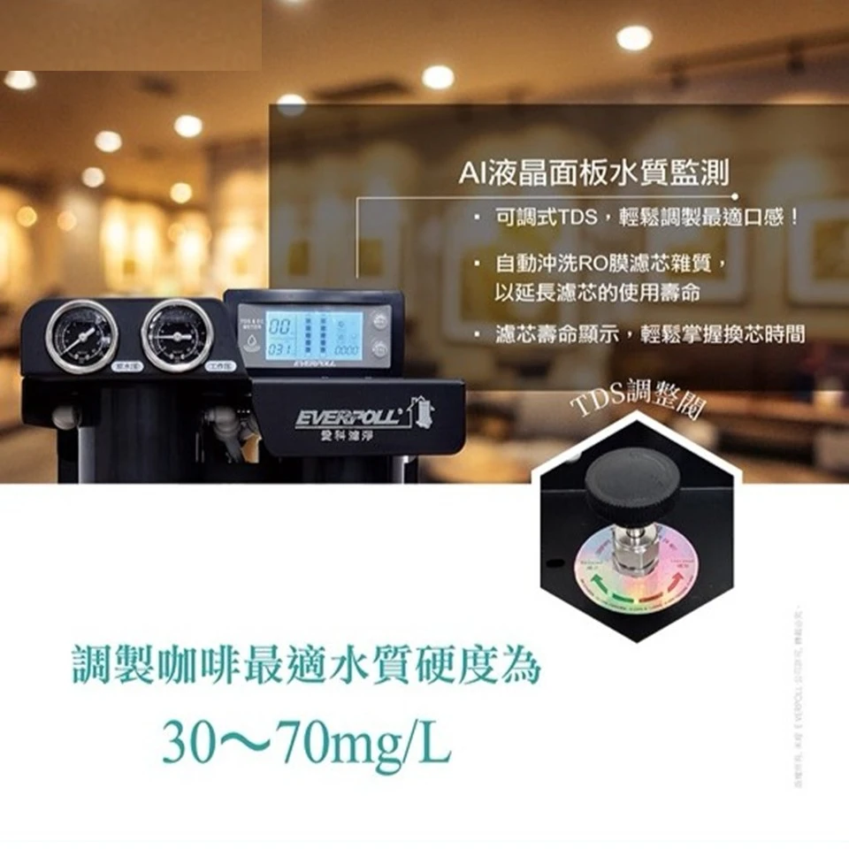 【EVERPOLL 愛科】商用可調式RO淨水系統