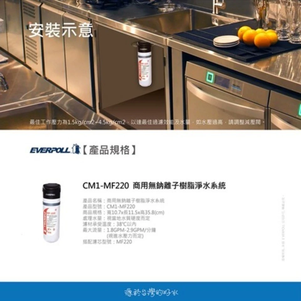 【EVERPOLL 愛科】商用無鈉離子樹脂淨水系統