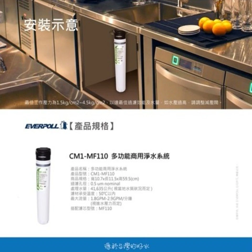 【EVERPOLL 愛科】單道商用淨水系統