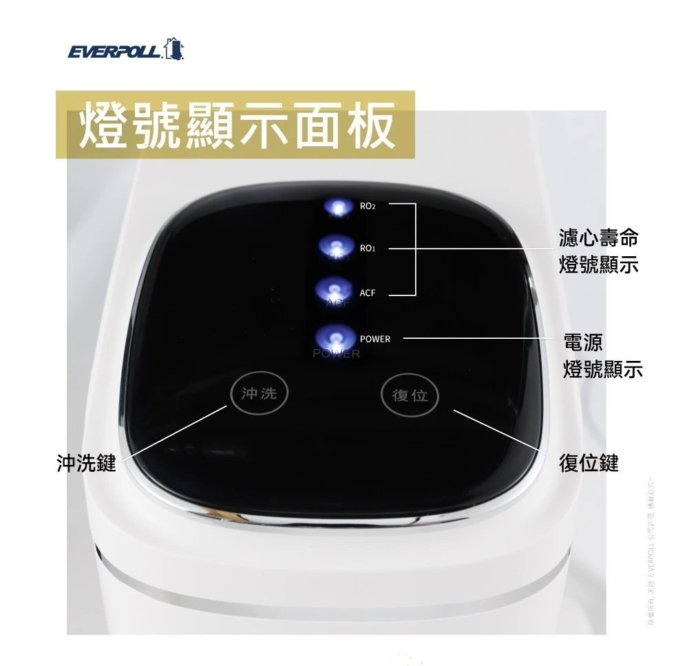 【EVERPOLL 愛科】直出RO淨水器