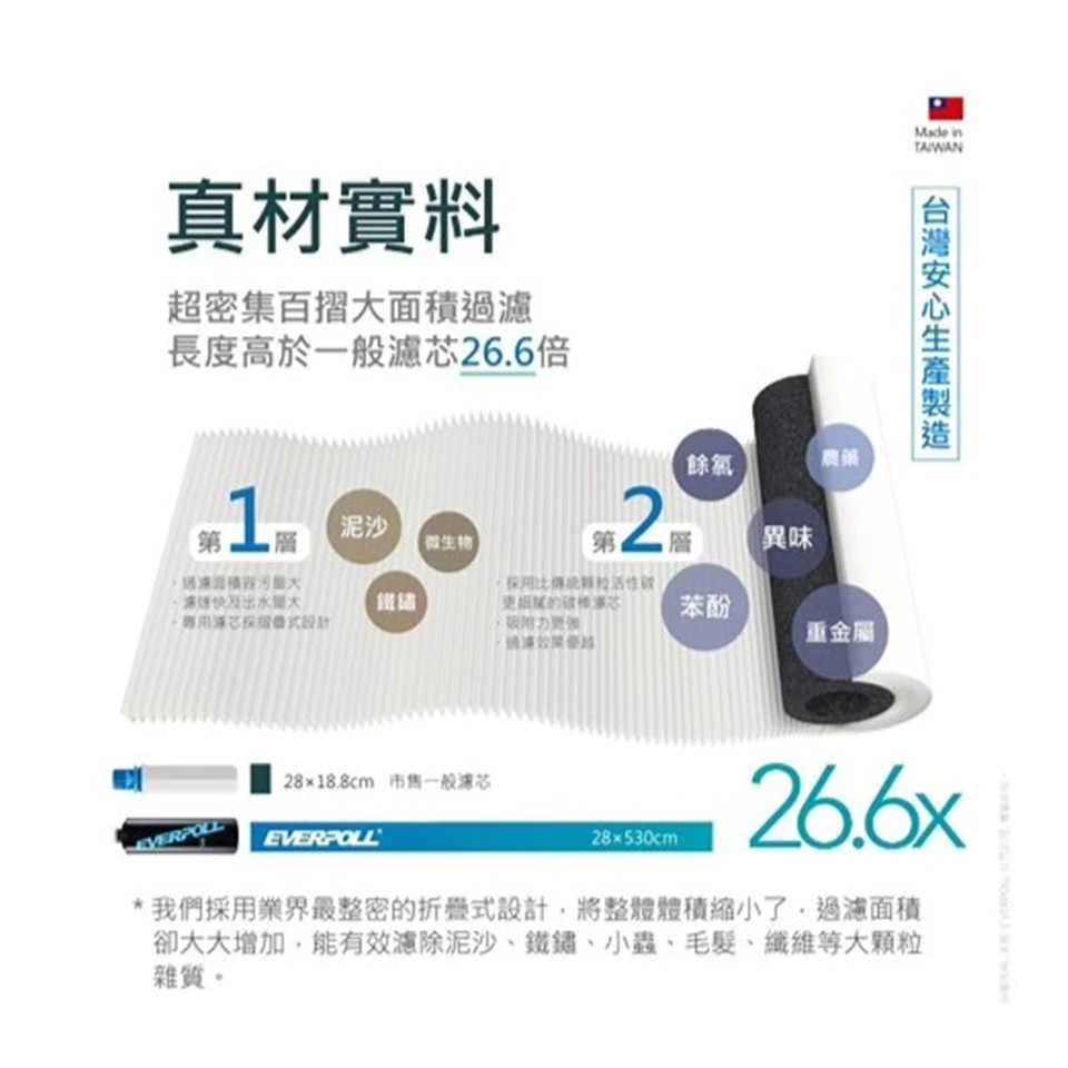 【EVERPOLL 愛科】AI可調直出式RO純水機