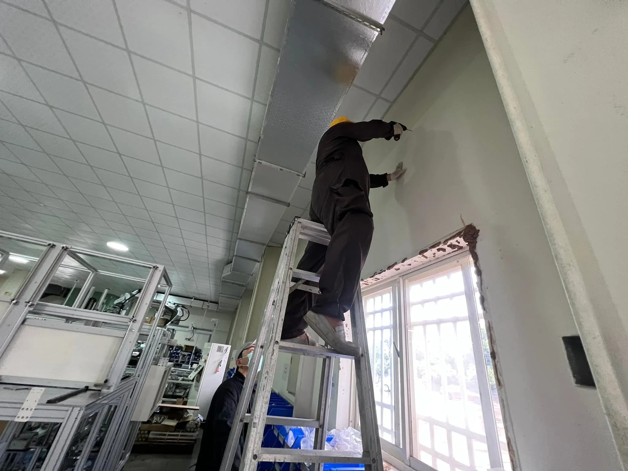 辦公室有白蟻怎麼辦？鴻績工業股份有限公司白蟻防治