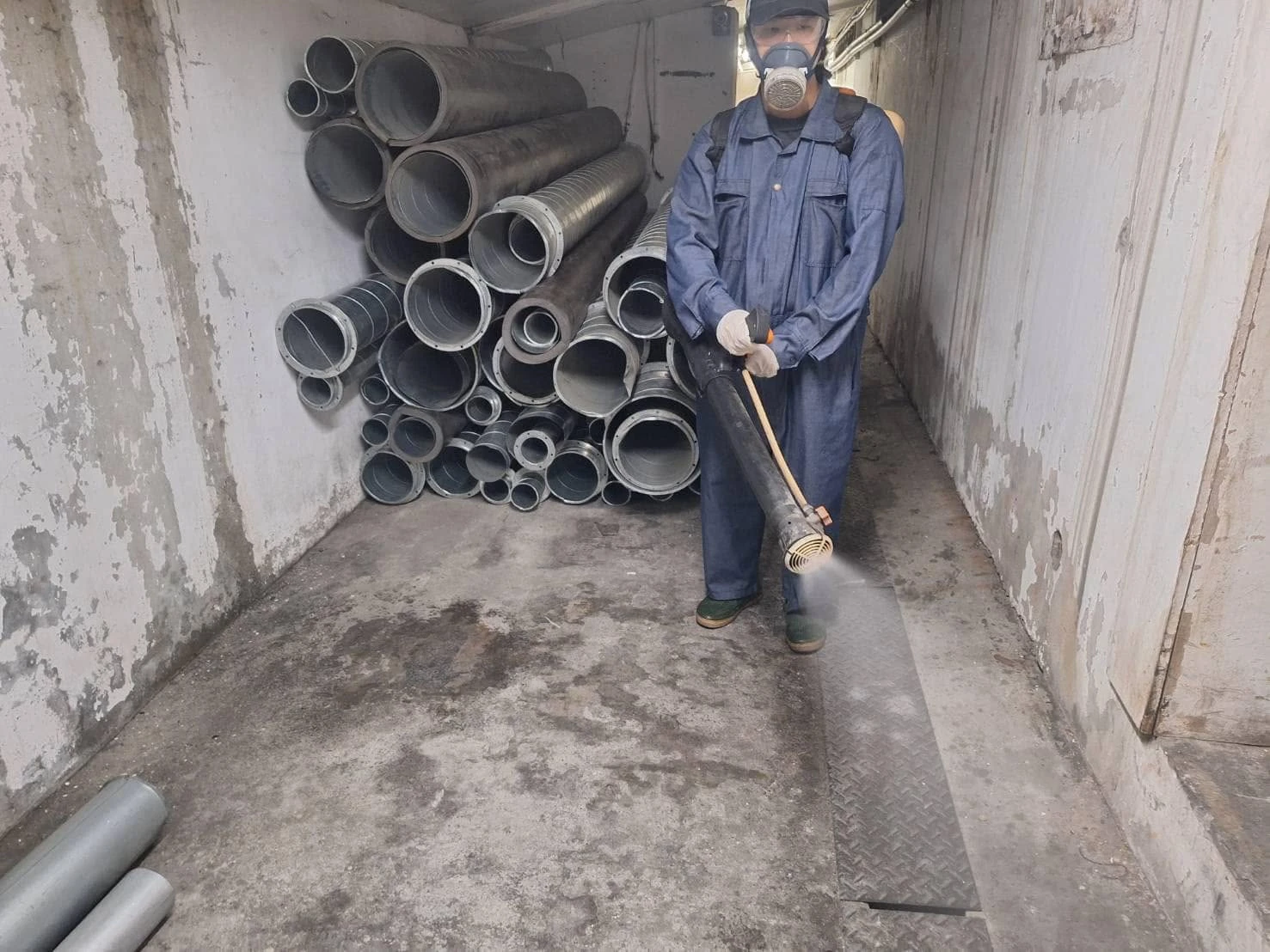 啟鋒科技倉庫跳蚤防治