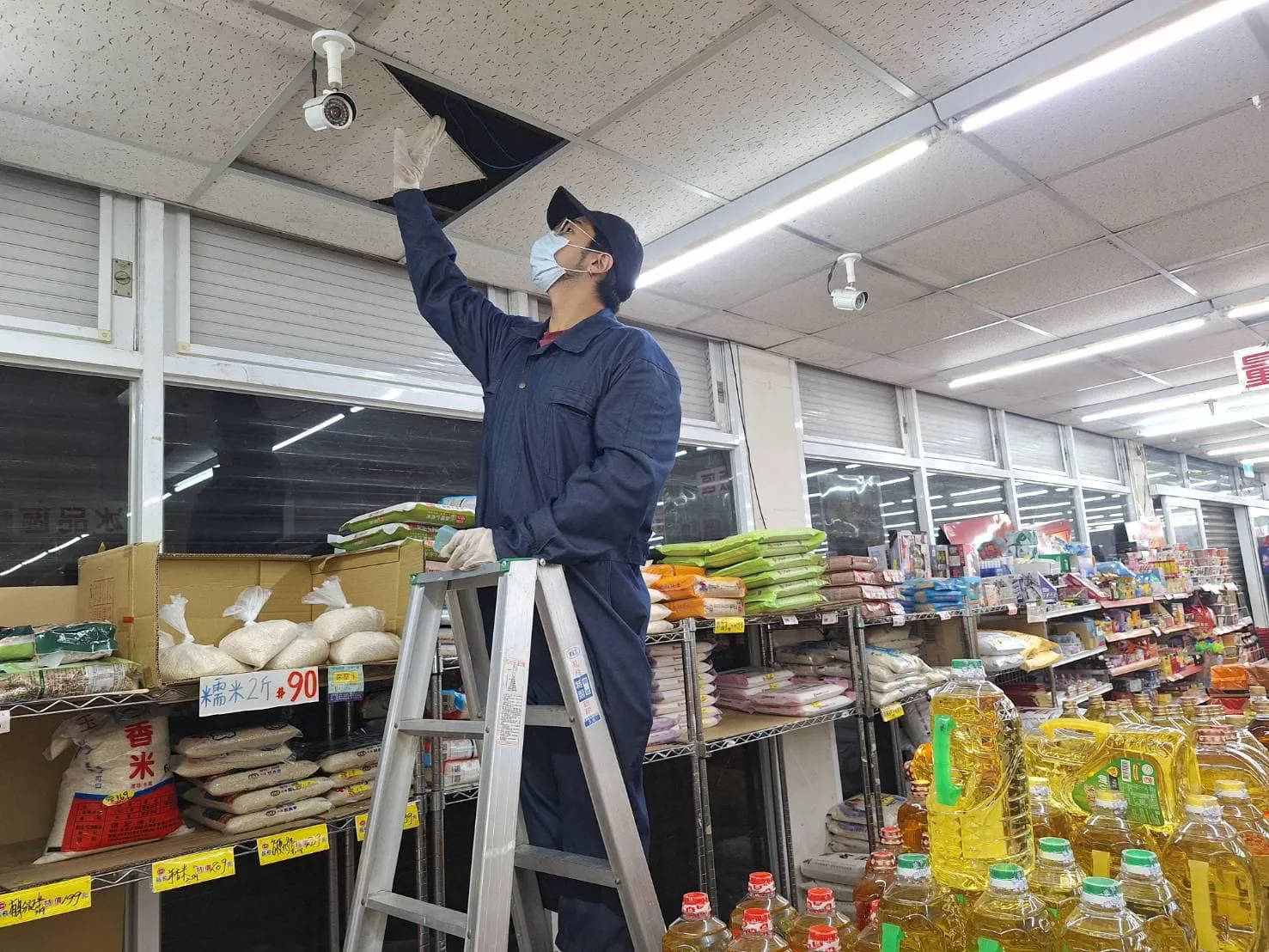 自由聯盟鶯桃店鼠害防治