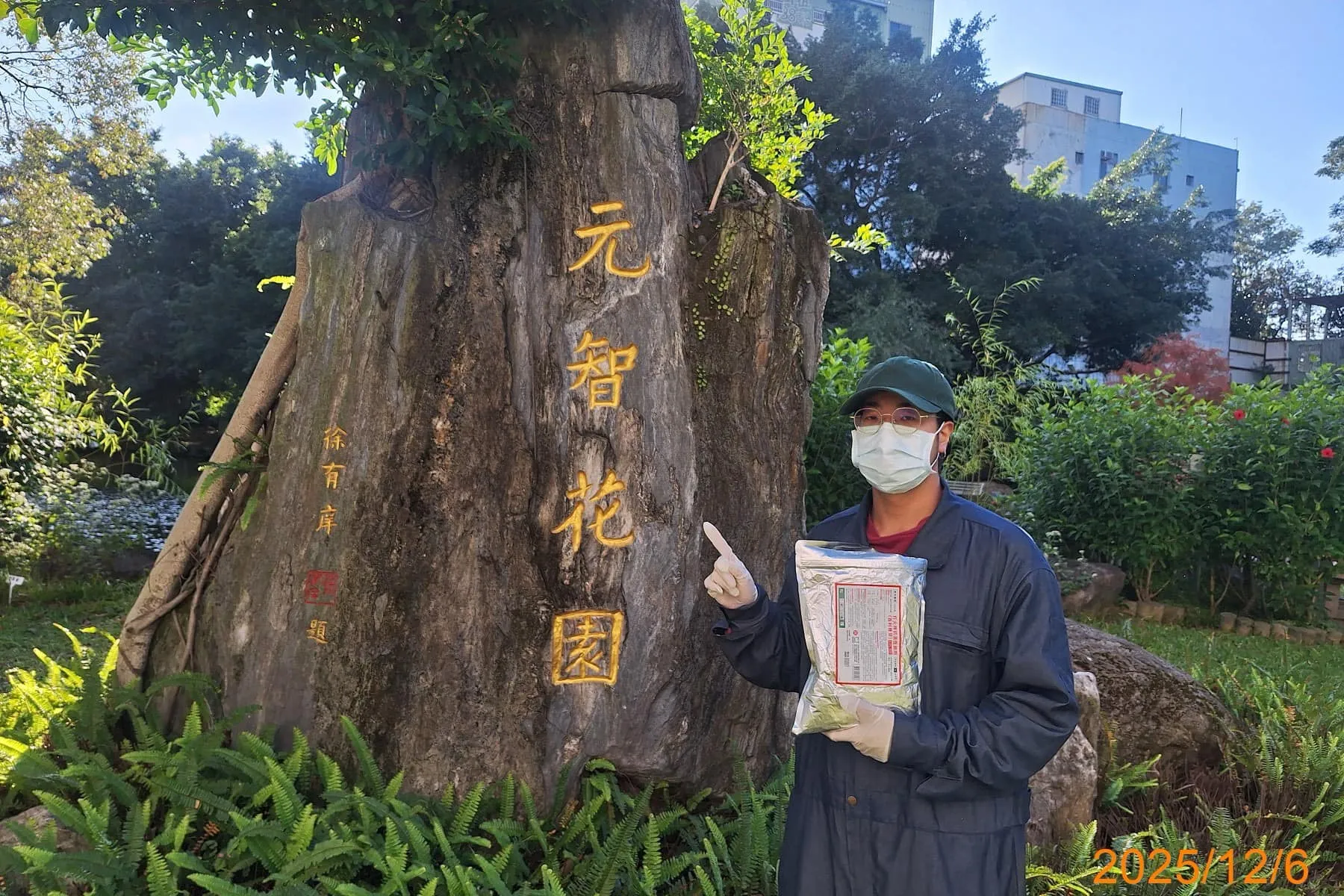 元智大學入侵紅火蟻定期防治