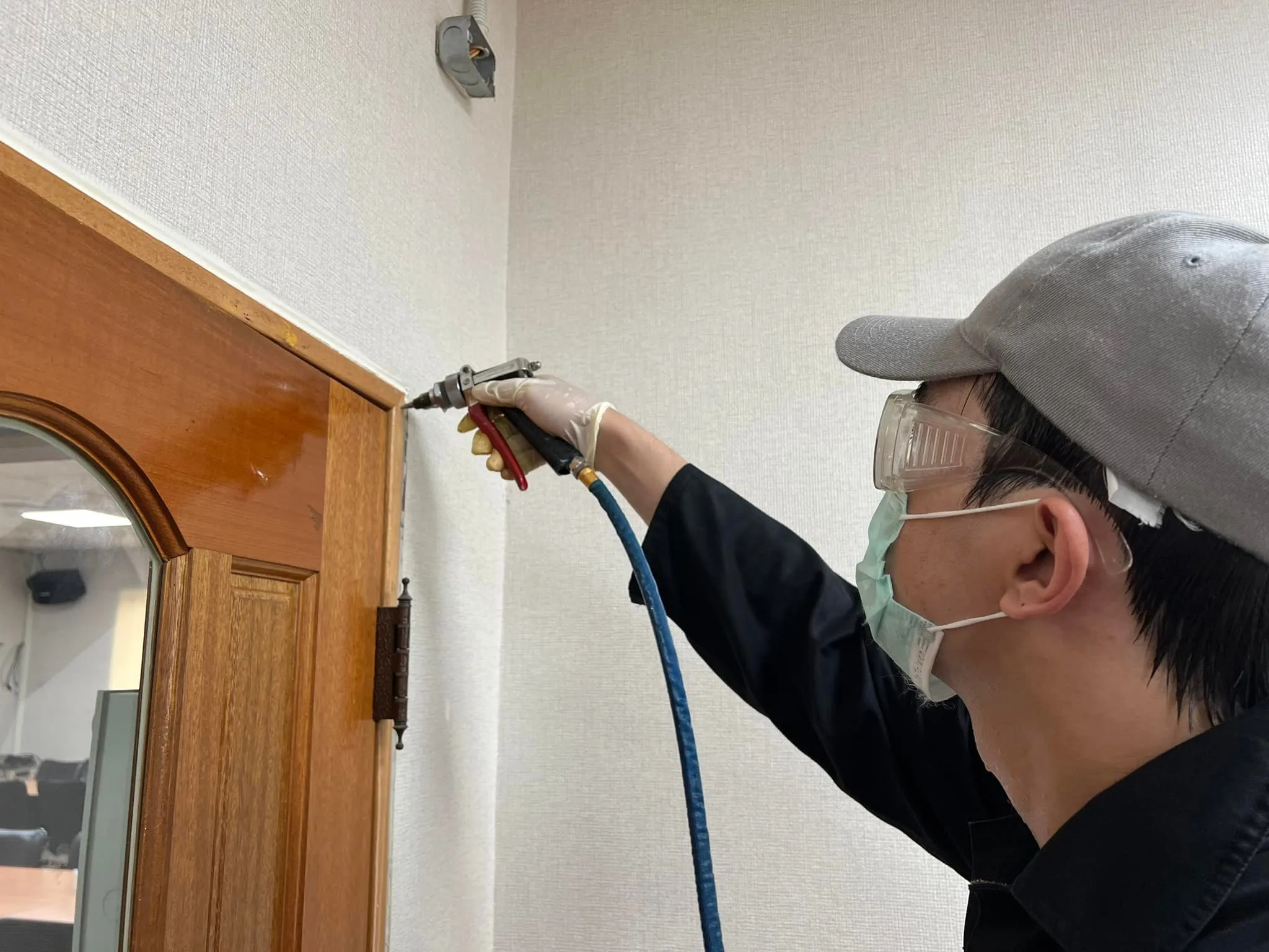 辦公室有白蟻怎麼辦？鴻績工業股份有限公司白蟻防治