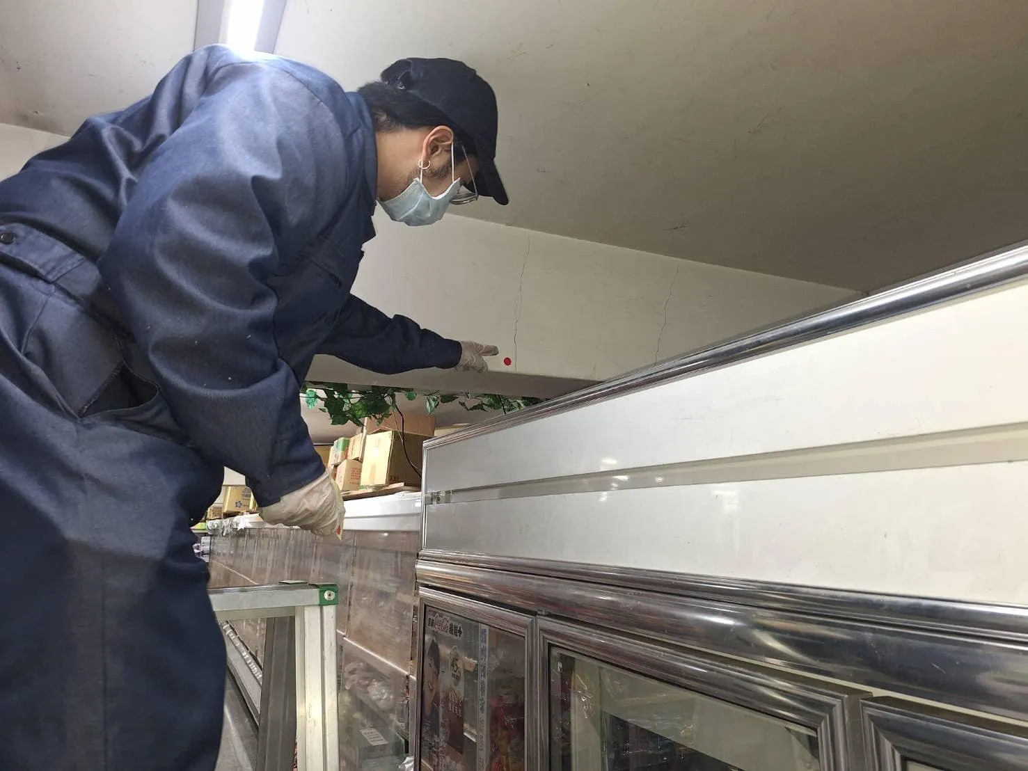 自由聯盟鶯桃店鼠害防治