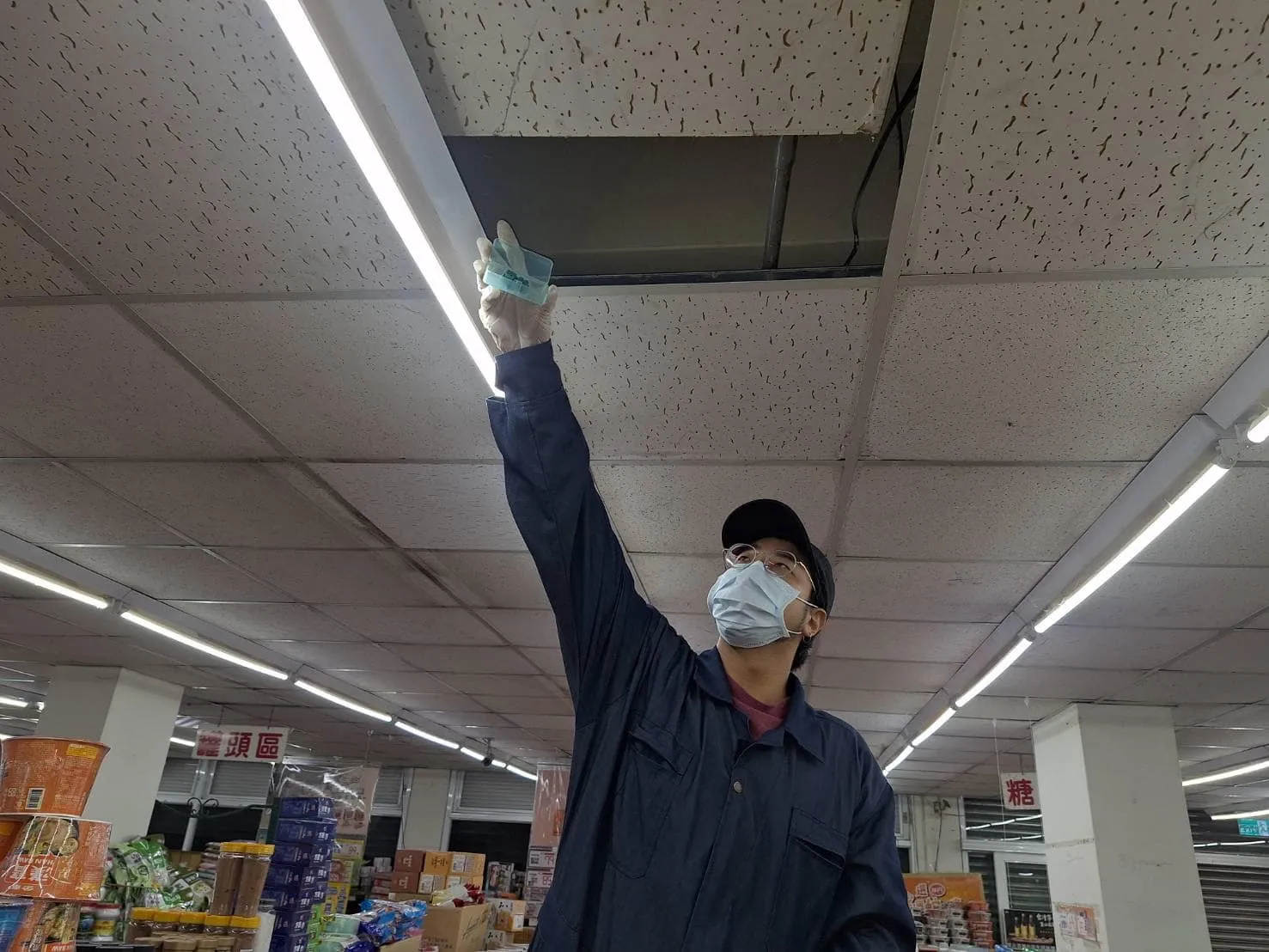 自由聯盟鶯桃店鼠害防治