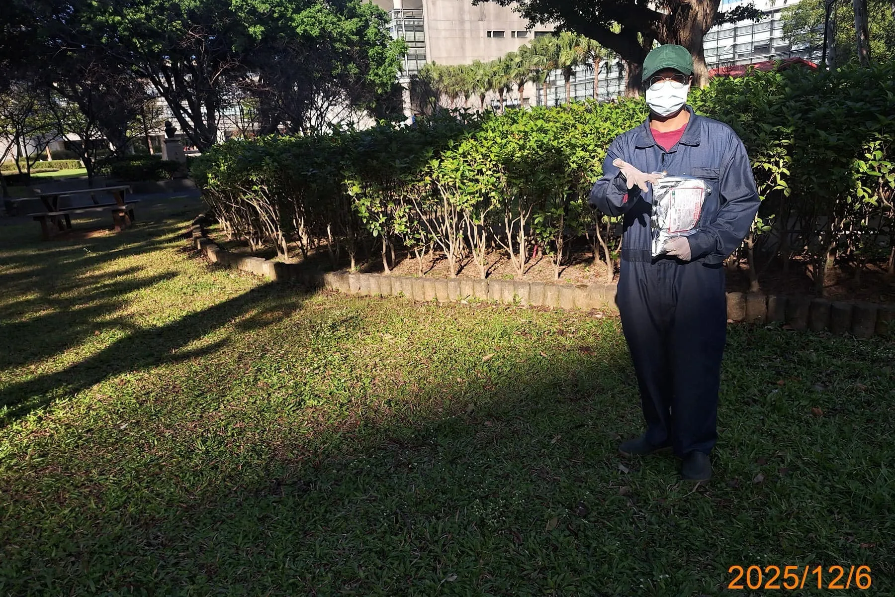 元智大學入侵紅火蟻定期防治