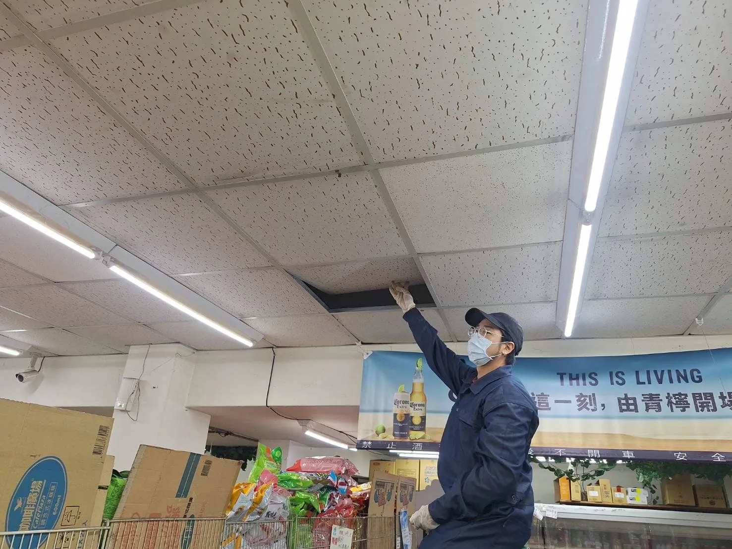 自由聯盟鶯桃店鼠害防治