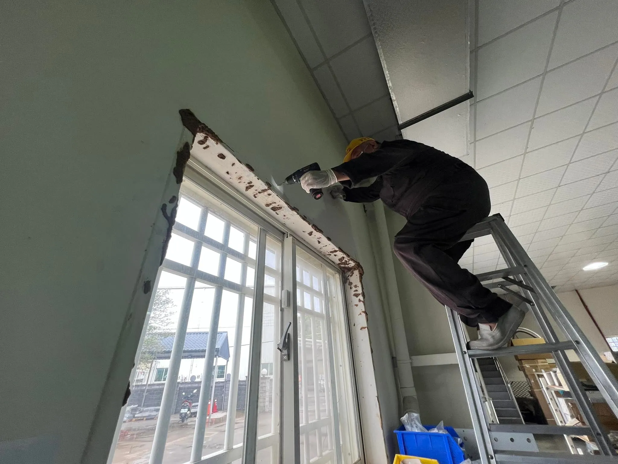 辦公室有白蟻怎麼辦？鴻績工業股份有限公司白蟻防治