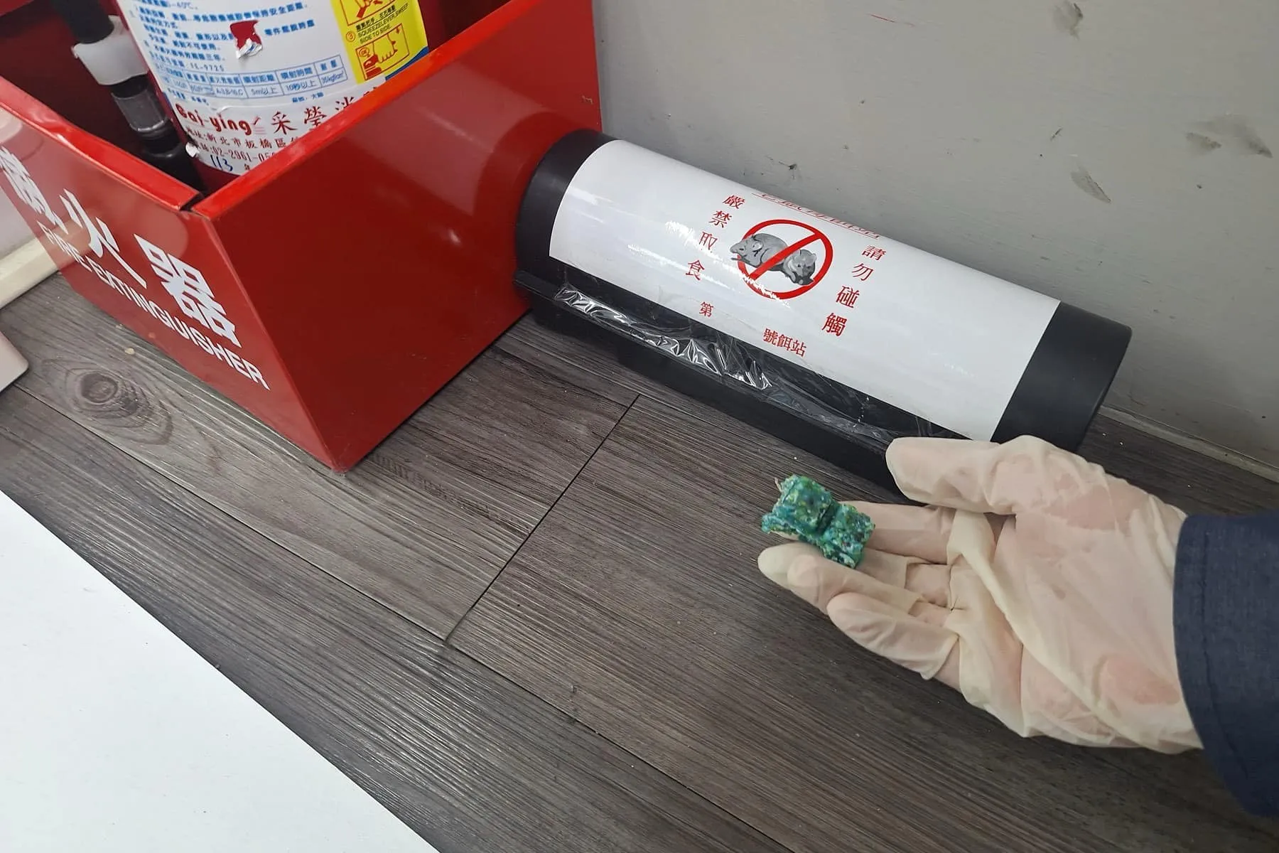 台灣大哥大崎頂門市鼠害防治