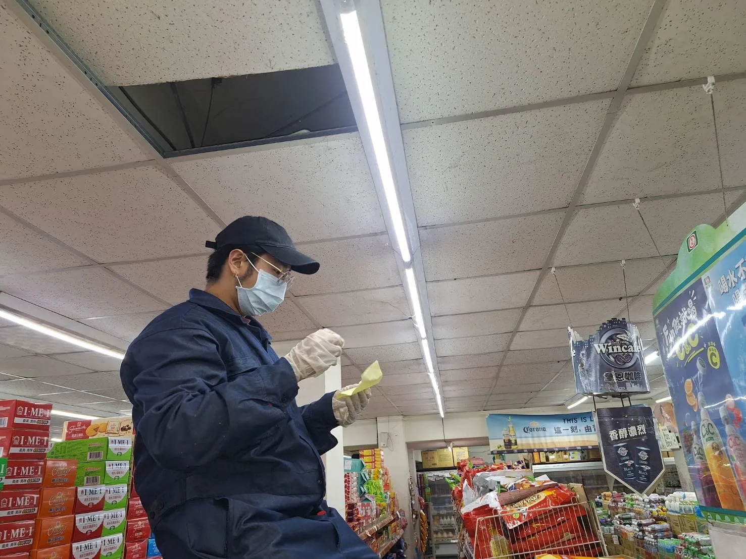 自由聯盟鶯桃店鼠害防治