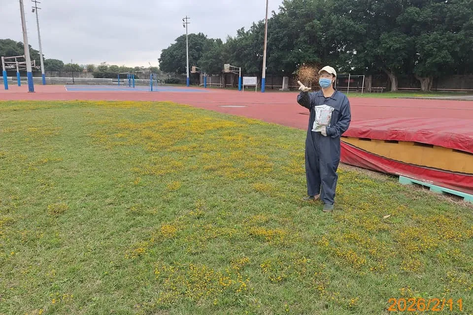 元智大學定期入侵紅火蟻防治