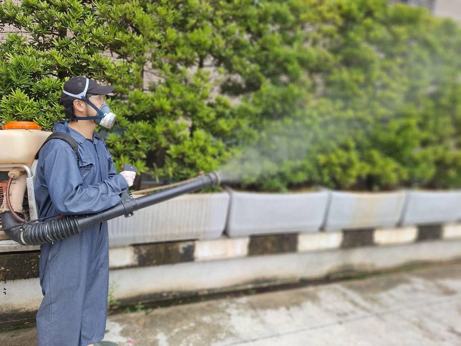 桃園市私立幸福日光幼兒園定期環境消毒