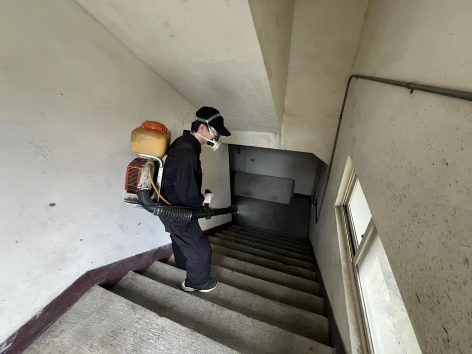 工廠出現跳蚤怎麼辦？菁華工業廠區跳蚤防治及員工宿舍環境消毒