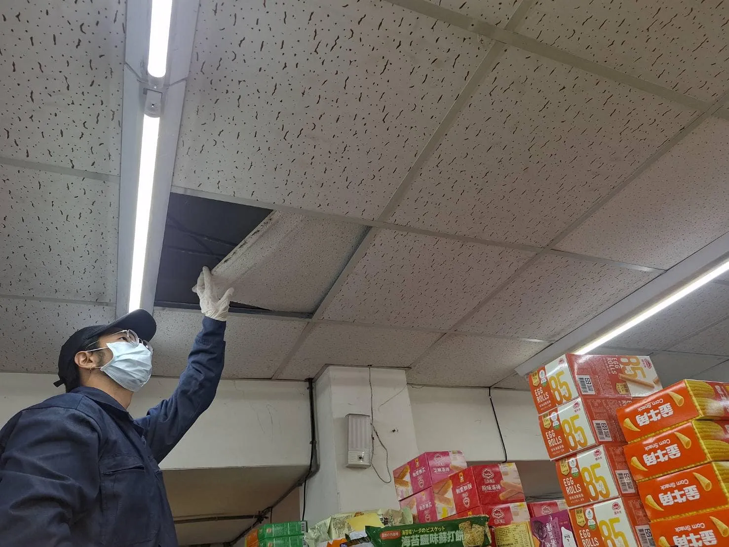 自由聯盟鶯桃店鼠害防治