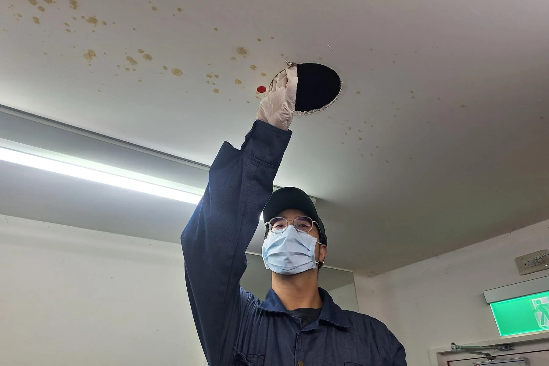 台灣大哥大崎頂門市鼠害防治