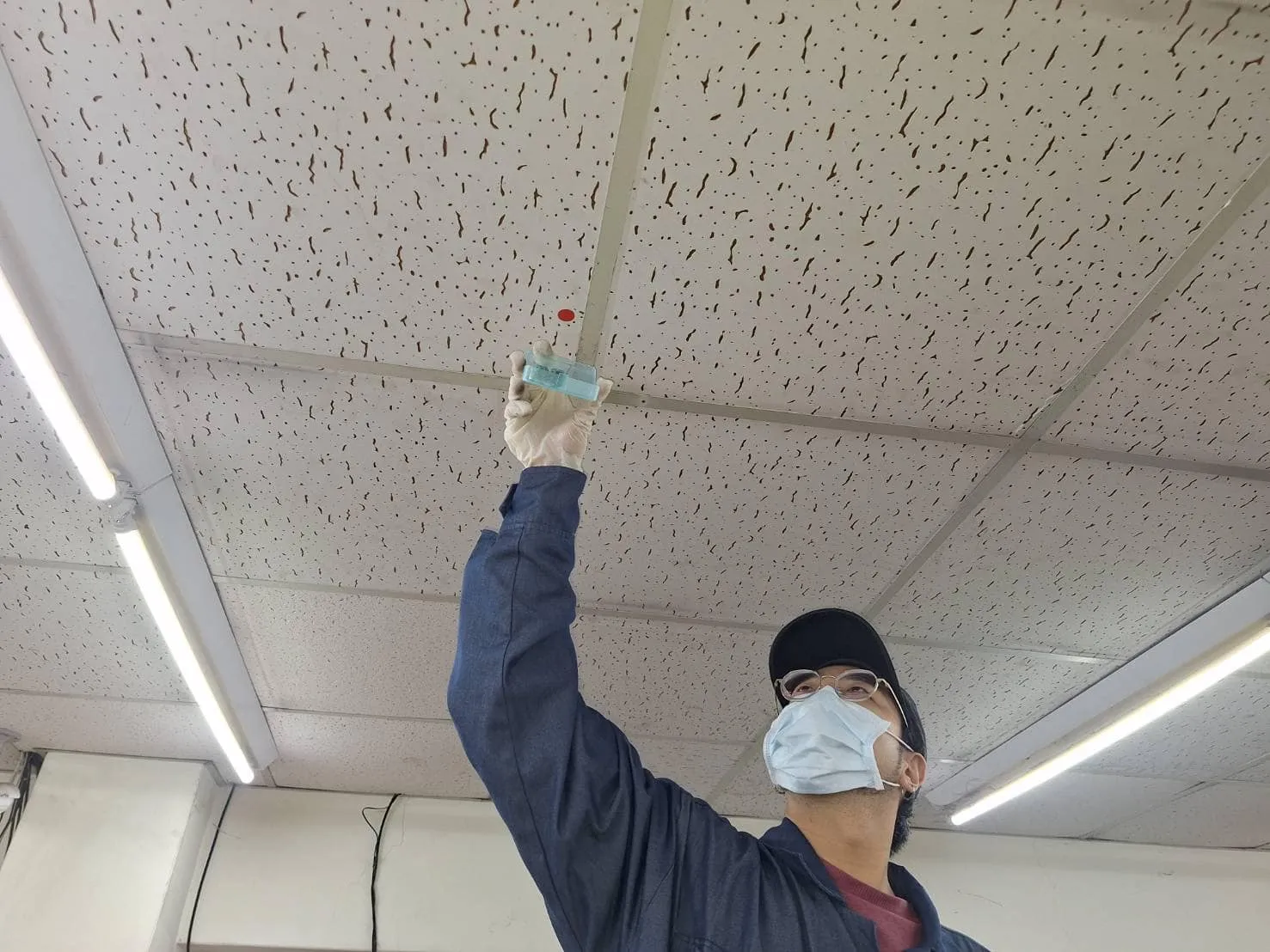 自由聯盟鶯桃店鼠害防治