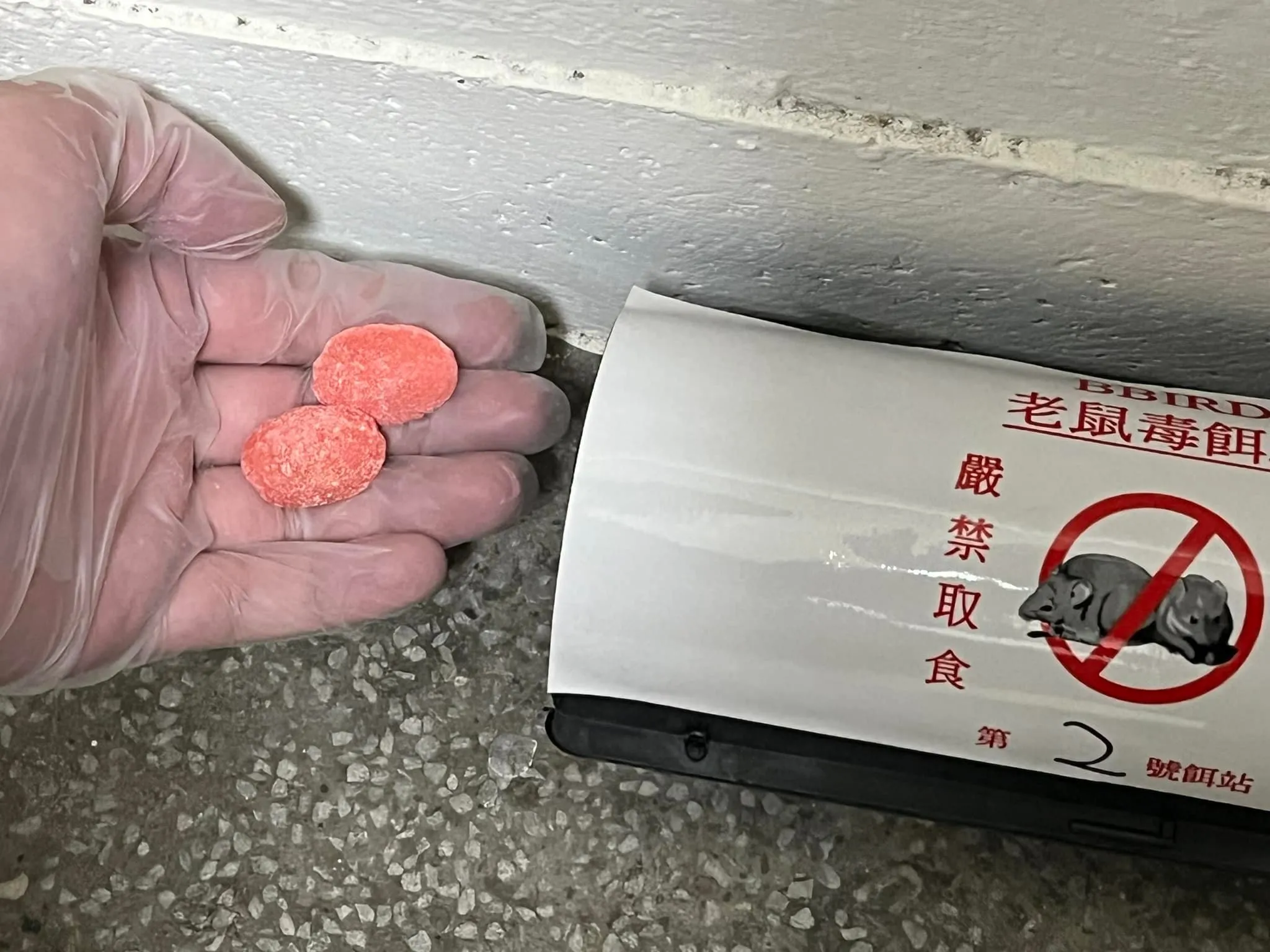 學校有老鼠怎麼辦？元智大學宿舍及美食街老鼠防治