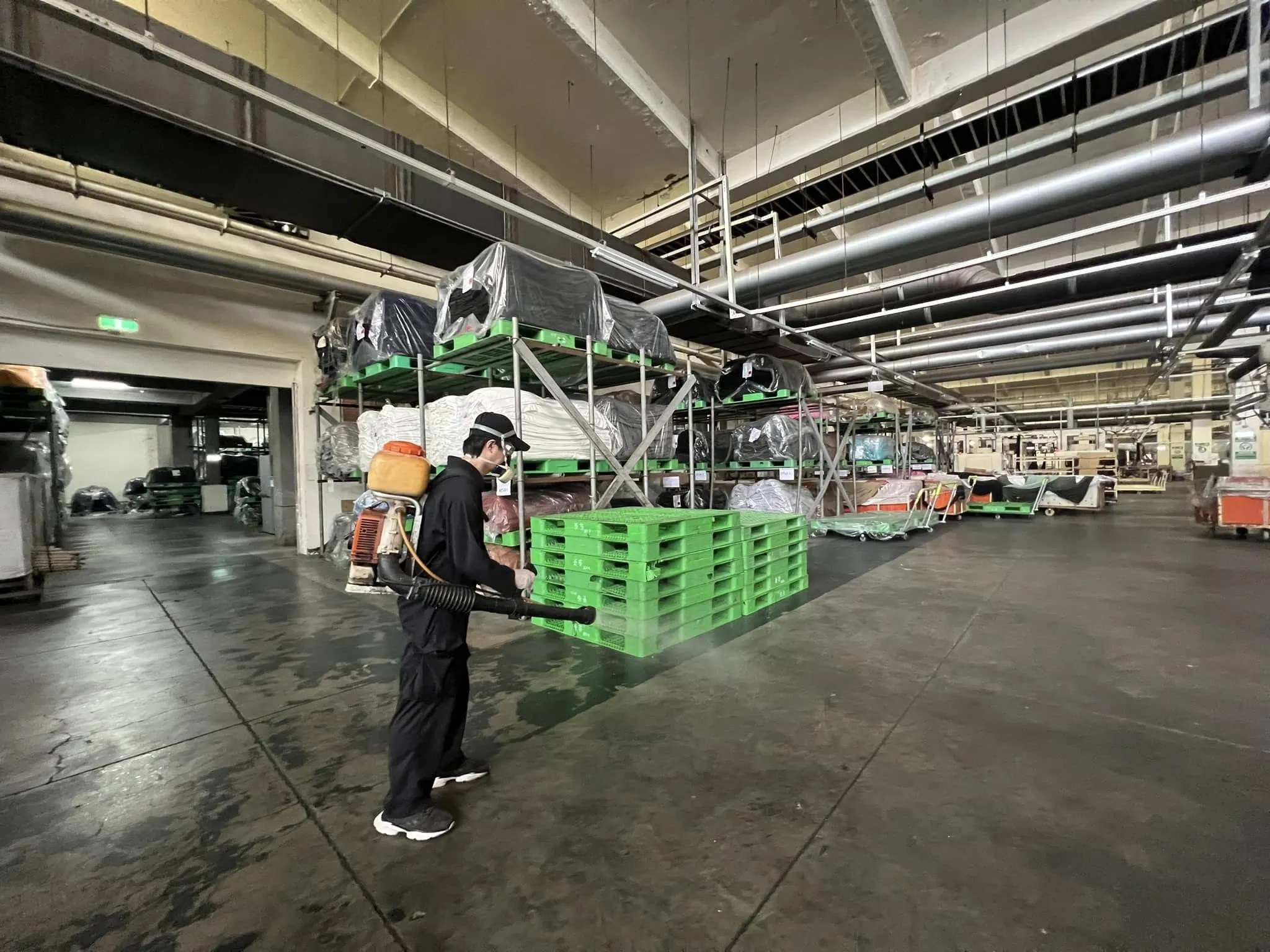 工廠出現跳蚤怎麼辦？菁華工業廠區跳蚤防治及員工宿舍環境消毒