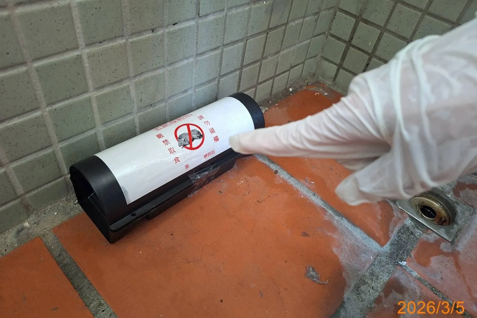 台北大學男生宿舍定期鼠害防治