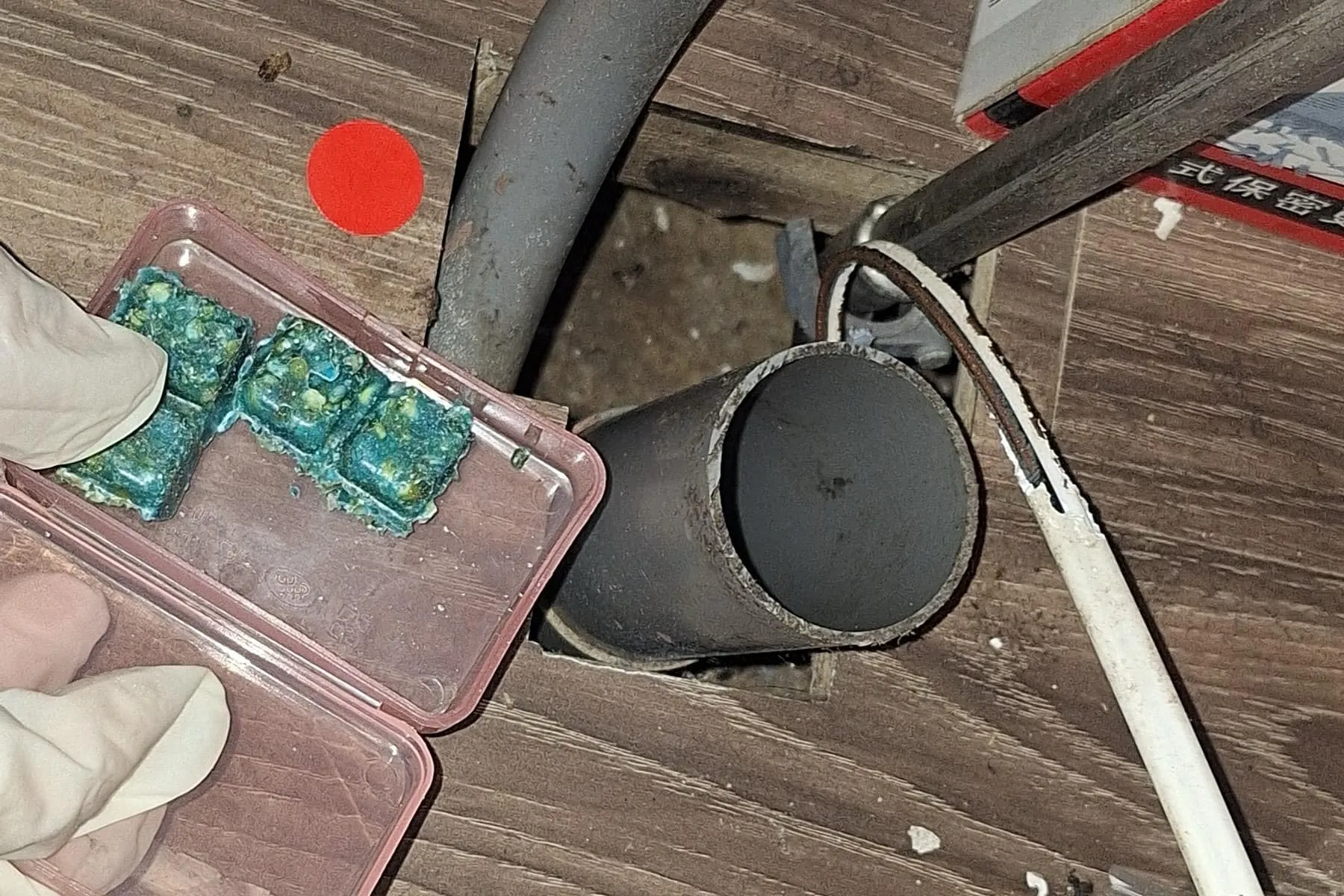 台灣大哥大崎頂門市鼠害防治