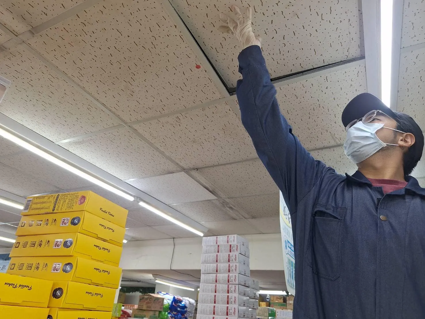 自由聯盟鶯桃店鼠害防治