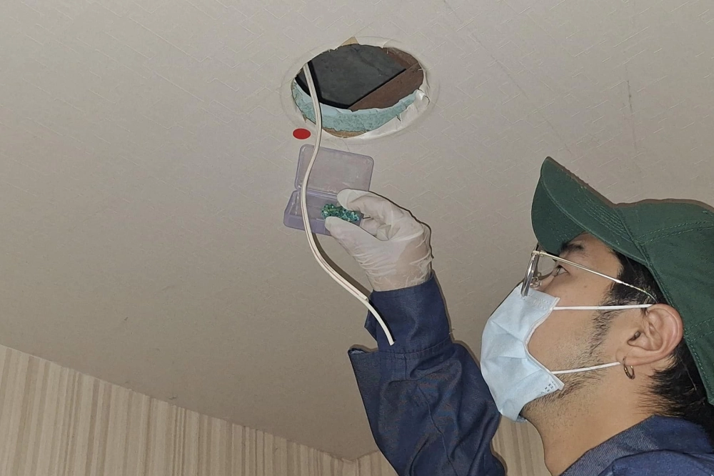 台灣大哥大崎頂門市鼠