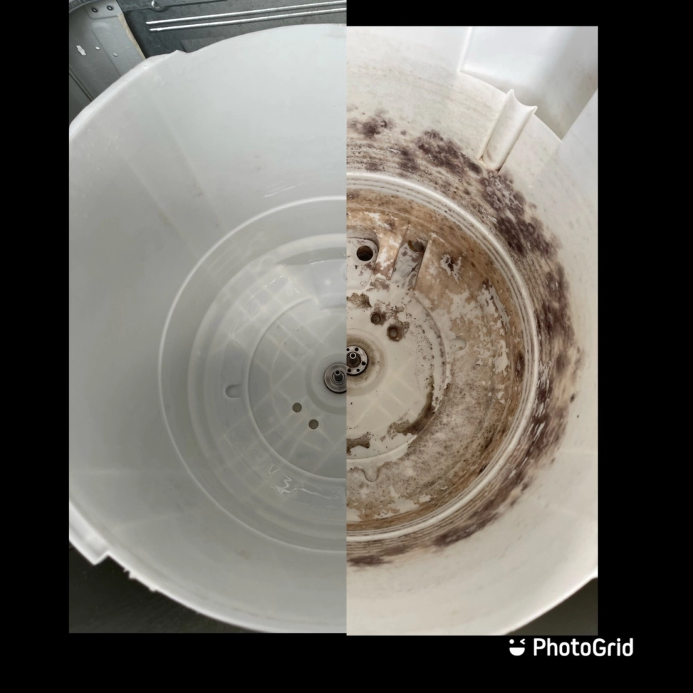 直立式洗衣機清洗