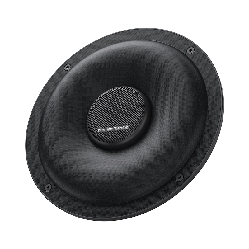 Harman Kardon 哈曼卡頓 Flow 80 8吋 375W 超低音 (一支)