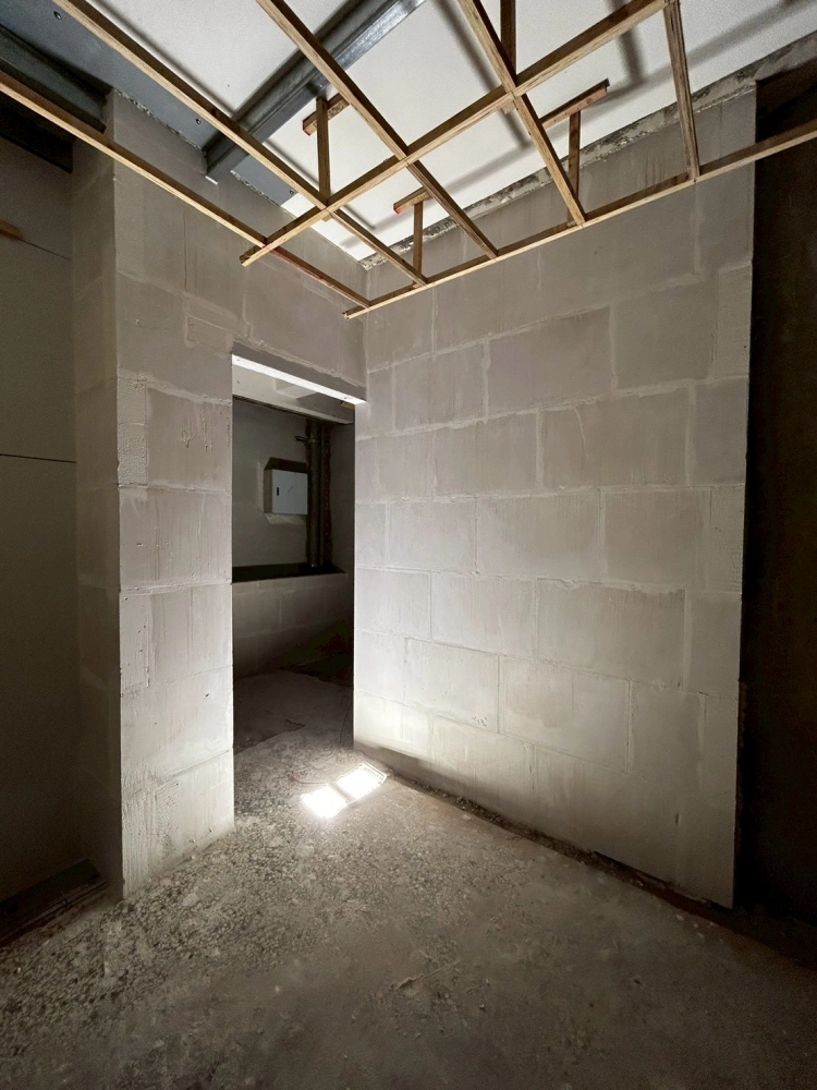 台南勝利路-老宅翻修石膏磚隔間