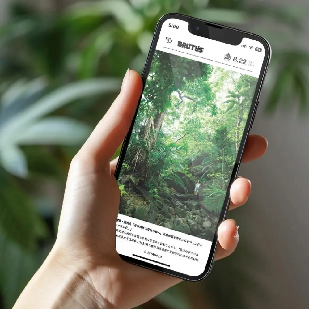 SimmpoR S80-霧面抗藍光護眼保護貼 iPhone15 ProMax