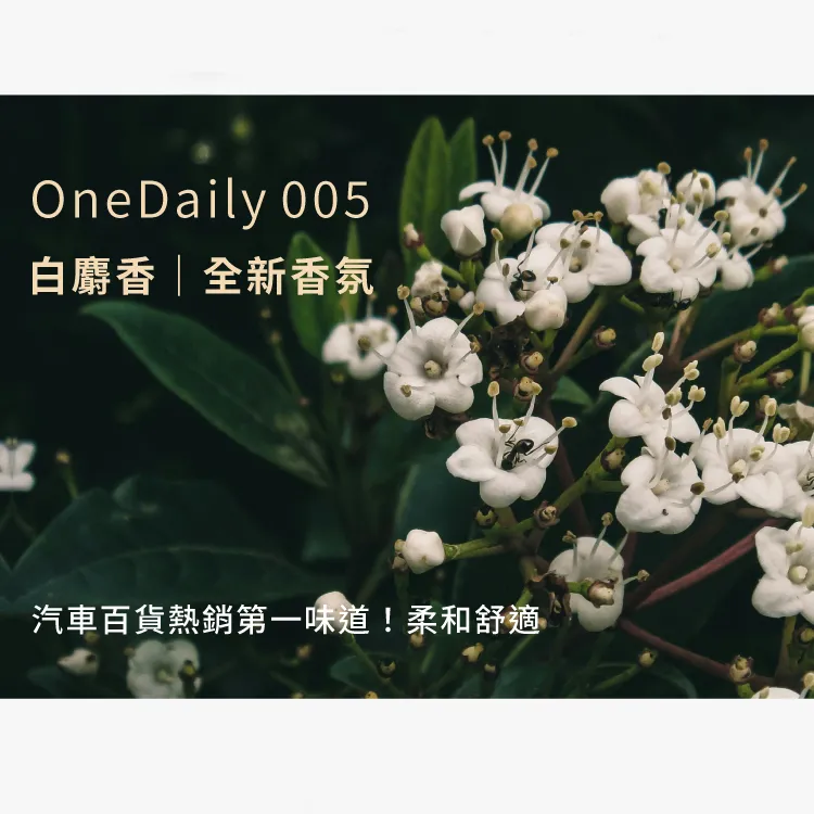 Onedaily 香氛塊(兩入)-白麝香