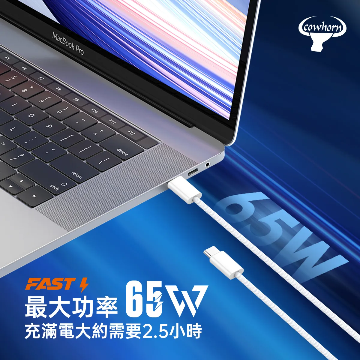 白-牛角-LC1編織白線-1米-USB C to TC