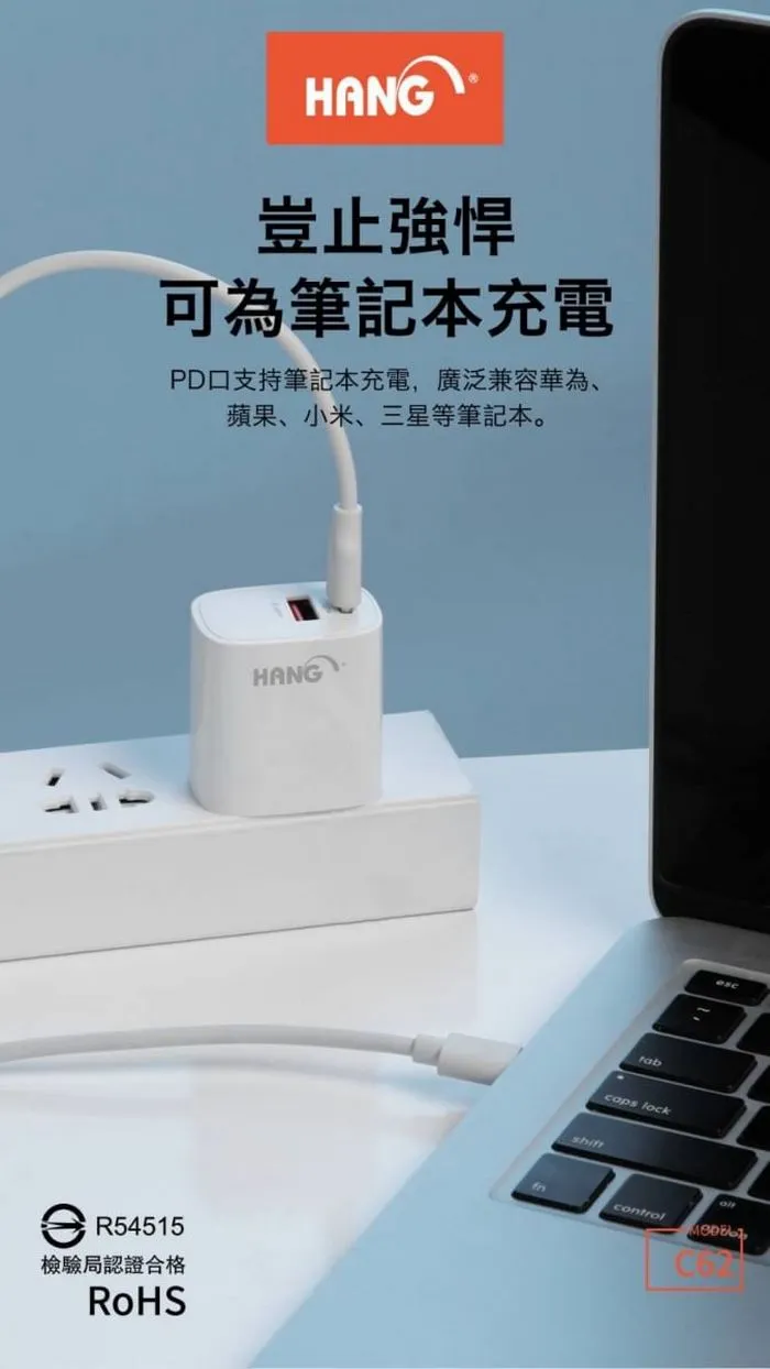 白C62 旅充頭+TYPEC TO TYPEC線