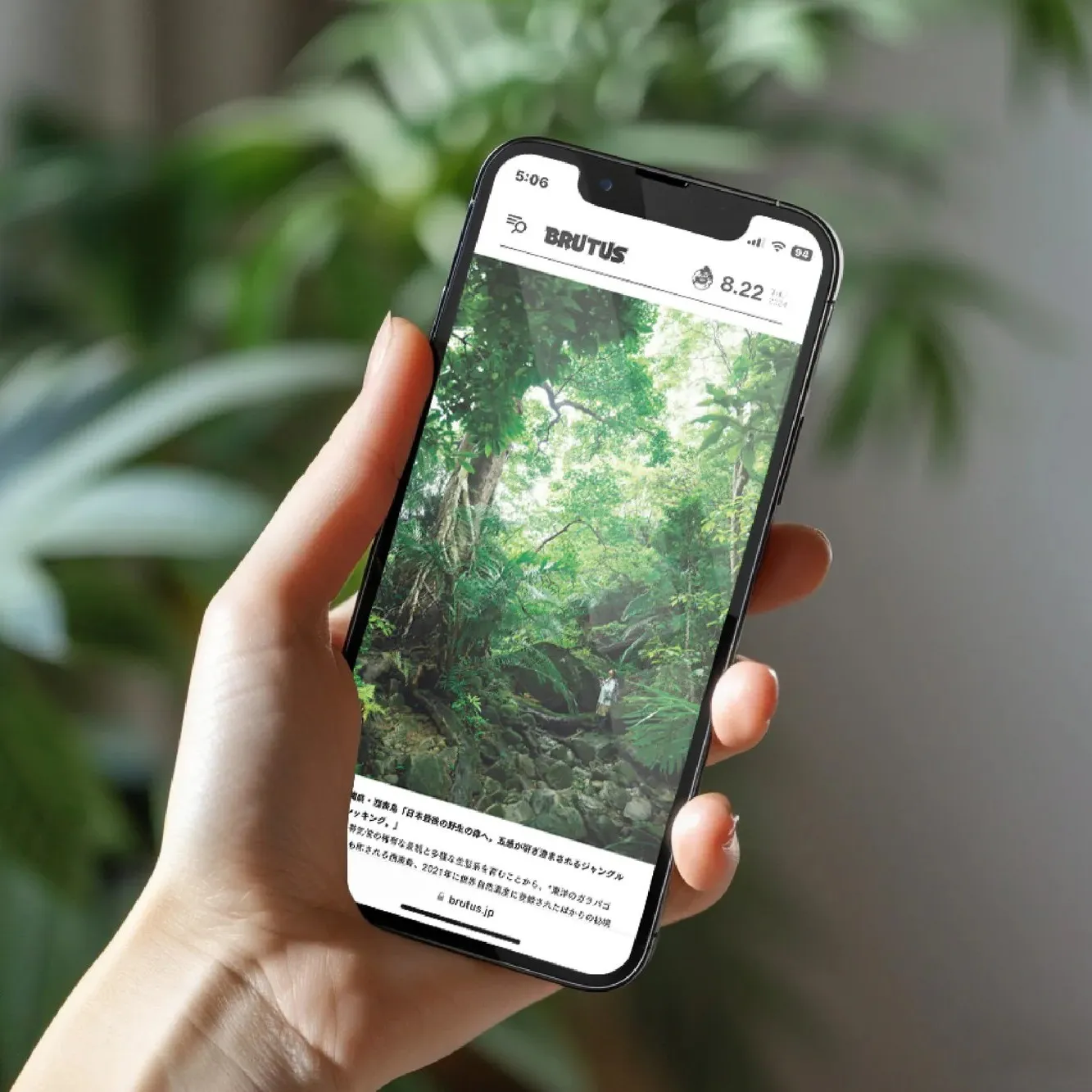 SIMMPO 護眼霧面-iPhone16