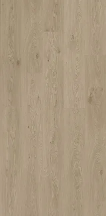 Lily Oak 谷雨淺橡