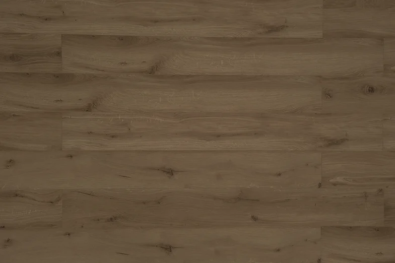 Gyant Dark Brown 極夜深橡XL