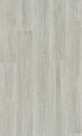 Verdi Oak 凡爾雪橡