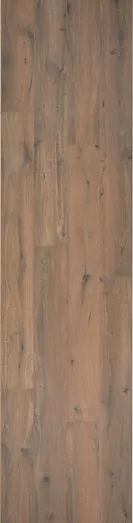 Gyant Dark Brown 極夜深橡XL