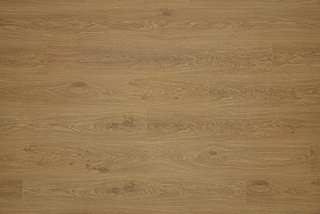 Lotus Oak 洛特斯原橡